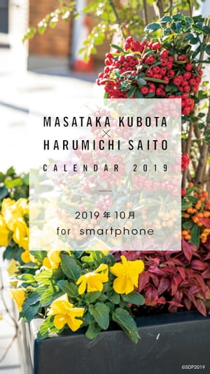 ߼̿ȡƣƻ2019.10forsmartphone