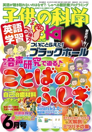 Ҷβʳ2019ǯ6