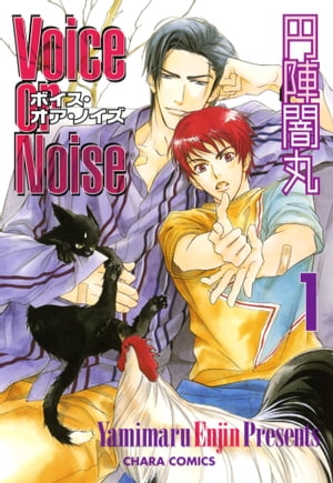 VoiceorNoiseʣ