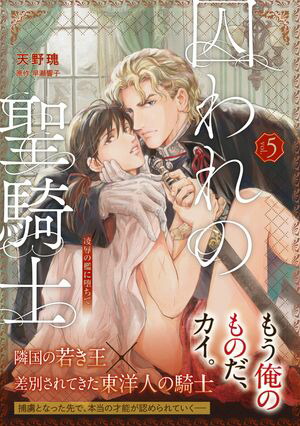 【単話版】囚われの聖騎士（5）