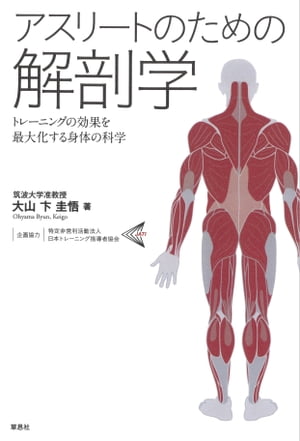 ꡼ȤΤβ˶ءȥ졼˥󥰤θ̤粽Τβʳ