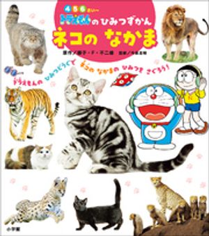 �ɥ館���ΤҤߤĤ�����ͥ��Τʤ���