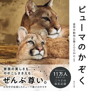 ピューマのかぞく