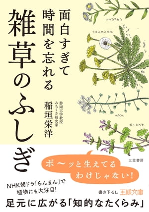 楽天Kobo電子書籍ストア: 面白すぎて時間を忘れる雑草のふしぎ - 足元に広がる「知的なたくらみ」 - 稲垣栄洋 - 4561003040000