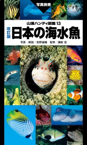 山溪ハンディ図鑑改訂版日本の海水魚
