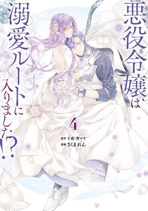 アストリッドとラファエル 文書係の事件録 シーズン2 DVD BOX〈4枚組〉 アストリッドとラファエル 文書係の事件録 シーズン2 DVD-BOX 全