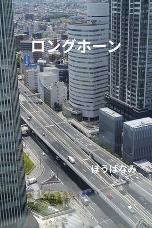 ���󥰥ۡ�����­��Ԥʤ�ƥۥӡ�����