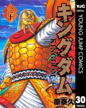 キングダム30
