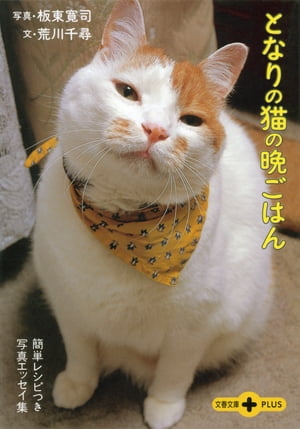 ȤʤǭդϤñ쥷ԤĤ̿å