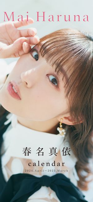 ̾ͥǥ륫2024.4-2025.3