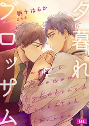 ���Żҥ��ꥸ�ʥ��ͼ���֥��å���