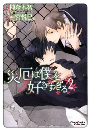 ������ͤ򹥤�������ʣ���