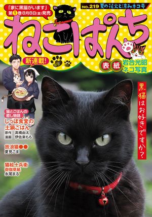 ねこぱんち 楽天Kobo電子書籍ストア: ねこぱんち No.219 夏の花火と涼みネコ