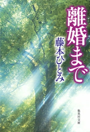 離婚まで