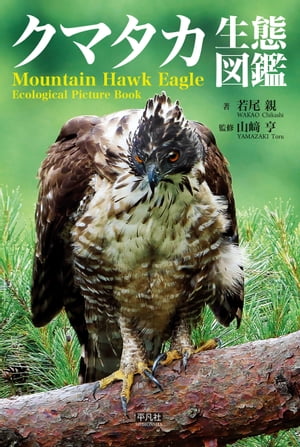 ���ޥ������ֿ޴�