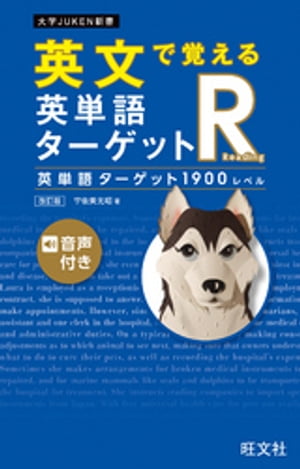 ʸǳФñ쥿åRñ쥿å1900٥ǡʲDLա