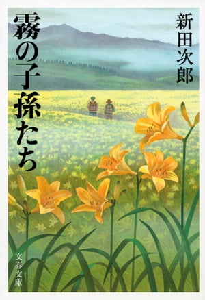 ̸�λ�¹����