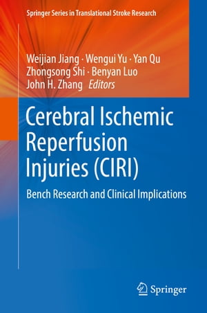 高い品質 Cerebral Ischemic Reperfusion Injuries Ciri Bench Research And Clinical Implications Springer 電子書籍版 100 本物保証 Www Most Gov La