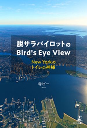 æ����ѥ����åȤ�Bird��sEyeView��NewYork�Υȥ���ο��͡�