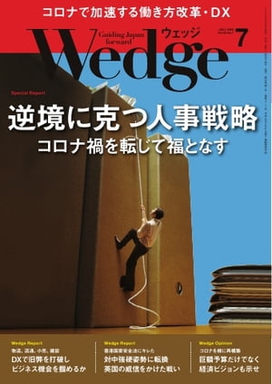 Wedge2020ǯ7