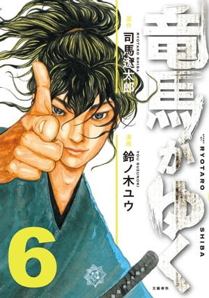 竜馬がゆく6
