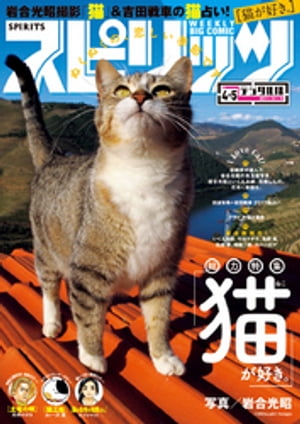 週刊ビッグコミックスピリッツ2017年4・5合併号（2016年12月26日発売）