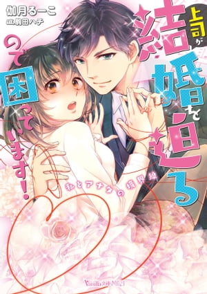 ��ʤ��뺧������ΤǺ��äƤ��ޤ�������ȥ��ʥ��ζ�������