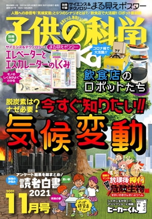 Ҷβʳ2021ǯ11