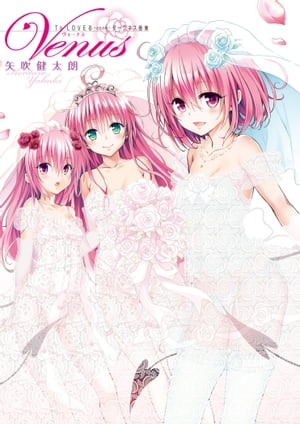 楽天市場】【中古】To LOVEる ダークネス アニメイラスト