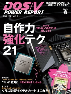 DOS/VPOWERREPORT2021ǯչ