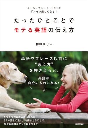 äҤȤȤǥƤѸ᡼롦åȡSNS󥼥ڤʤ롪