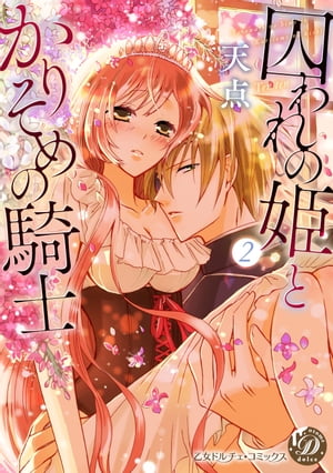 囚われの姫とかりそめの騎士〜ひそかな溺愛〜分冊版2話