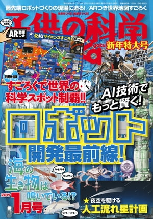 Ҷβʳ2019ǯ1