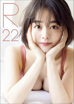 ˸ϻּ̿R22