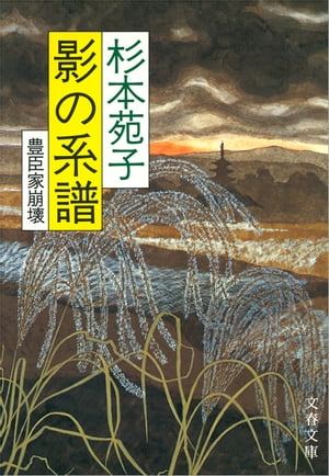 �Ƥη���˭�ò�����