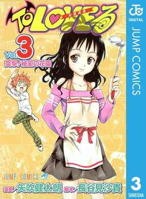 ToLOVE�롼�Ȥ�֤롼��Υ�����3