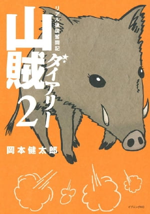 山賊ダイアリー(2) 表紙