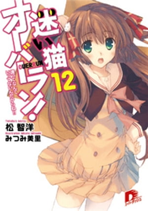 迷い猫オーバーラン！　12　護ってなんていってないんだからね！！【電子書籍】[ 松智洋 ]画像