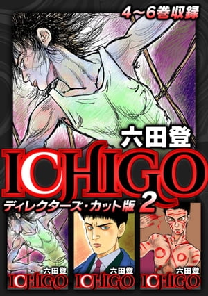 ICHIGOǥ쥯å2