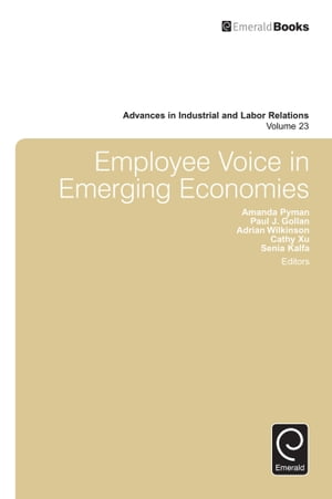 新しい到着 Employee Voice In Emerging Economies Emerald Group Publishing Limited 電子書籍版 人気特価激安 Dasanit Org