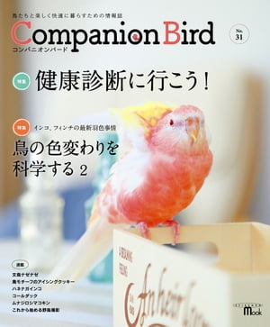 ѥ˥СNo.31