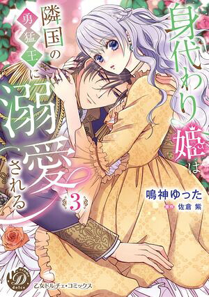 身代わり姫は隣国の勇猛王に溺愛される3