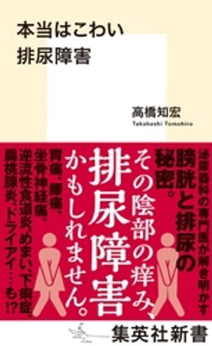 �����Ϥ��襤��Ǣ�㳲