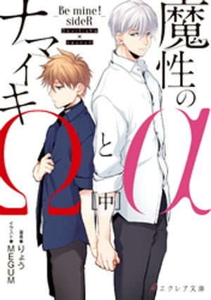 Φȥʥޥ-BeminesideR-[]ڥ饹դۡñܽ񤭲SSդ