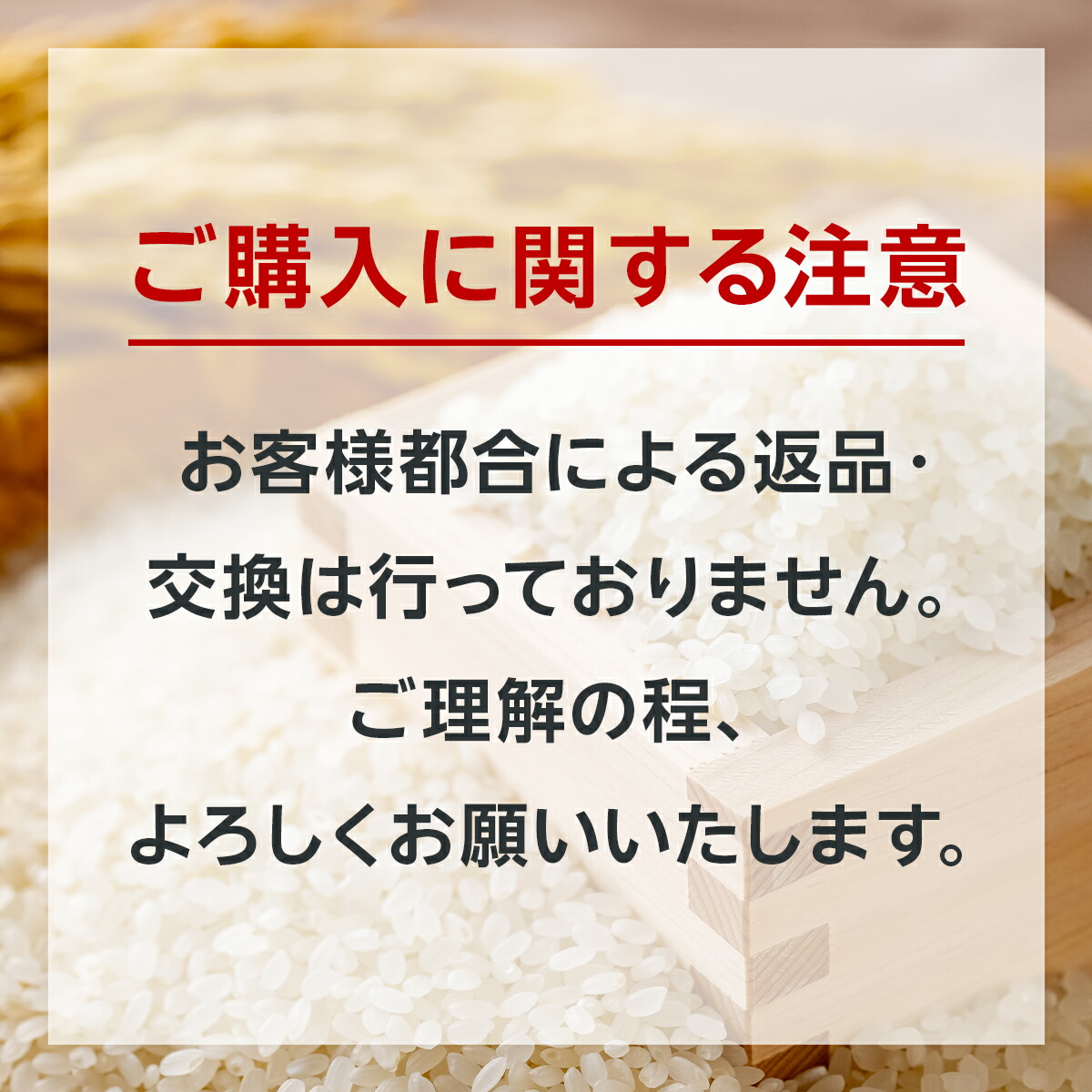 【楽天オリジナル】令和7年産 ブレンド米 5kg ~ 10kg お米 白米 国産 まとめ買い 業務用 送料無料
