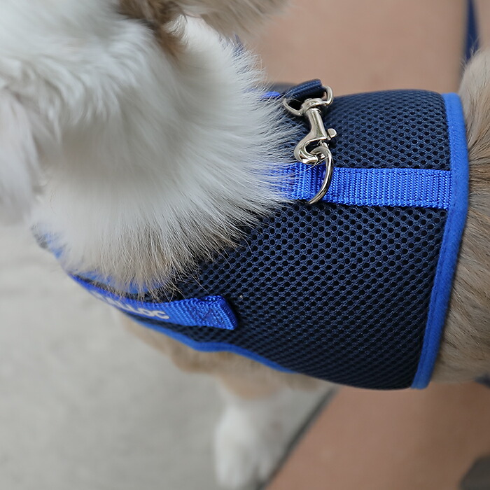 【楽天市場】【メール便送料無料】犬 ハーネス 胴輪 小型犬 抜けない 足を通さない