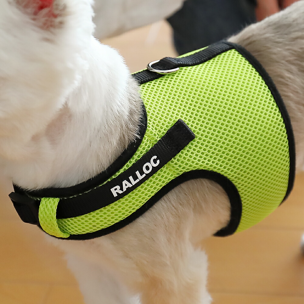 【楽天市場】【メール便送料無料】犬 ハーネス 胴輪 小型犬 抜けない 足を通さない