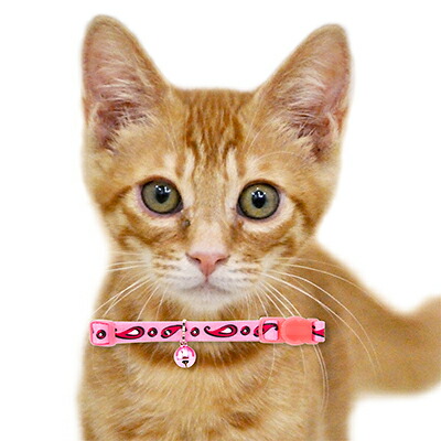 猫 首輪 ラロック アミコ ペイズリー猫カラー セーフティバックルで安全 おしゃれ 猫用首輪 (メール便のみ メール便可 ギフト包装可) 猫 首輪 ラロック アミコ ペイズリー猫カラー セーフティバックルで安全 おしゃれ 猫用首輪 (メール便のみ メール便可 ギフト包装可)