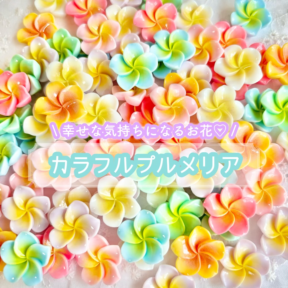 phonto2461127.jpg