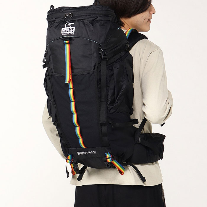 【楽天市場】【エントリーでP10倍！11/1 10:00-12/1 9:59】 CHUMS チャムス Spring Dale 35 スプリング